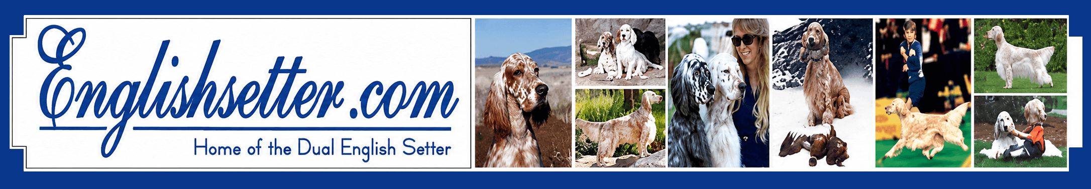Setter Ridge Kennels — EnglishSetter.com